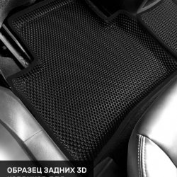 Левый пассажир